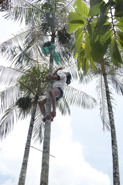 Crédito: Ricardo Amanajás