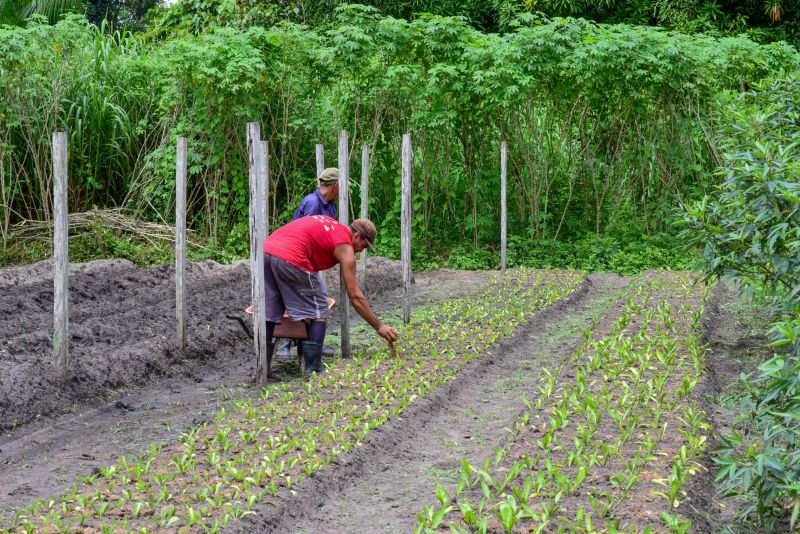 Imagens de Apoio de Agricultores e do secretario Pedro Soares