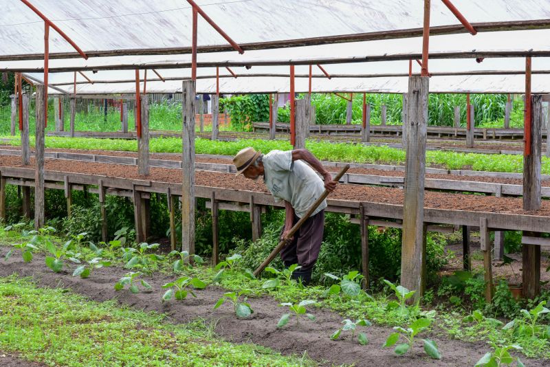 Imagens de Apoio de Agricultores e do secretario Pedro Soares