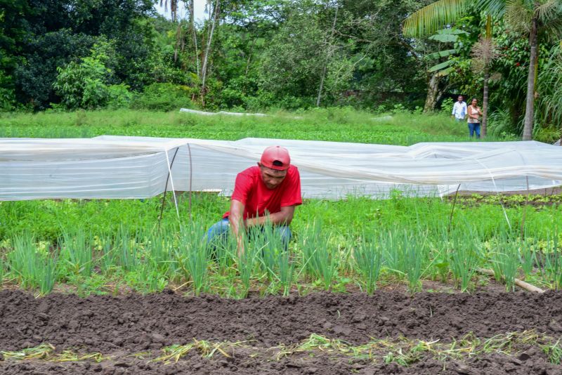 Imagens de Apoio de Agricultores e do secretario Pedro Soares