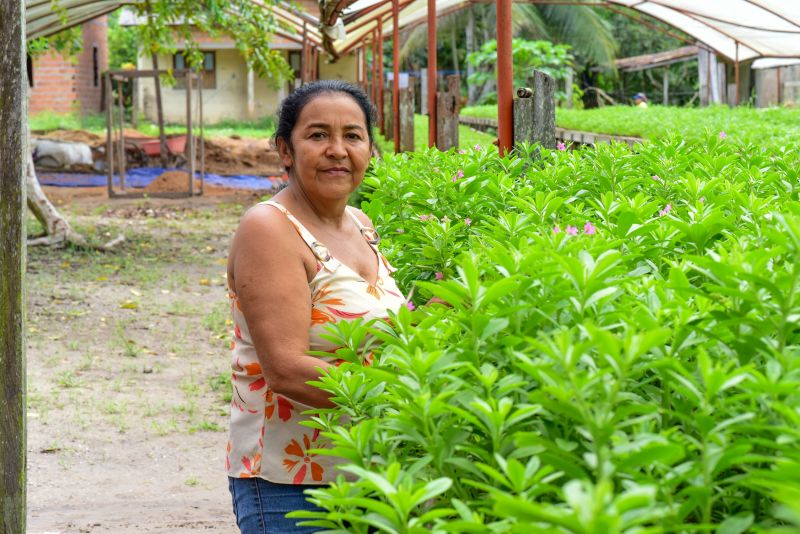 Imagens de Apoio de Agricultores e do secretario Pedro Soares