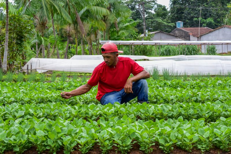 Imagens de Apoio de Agricultores e do secretario Pedro Soares