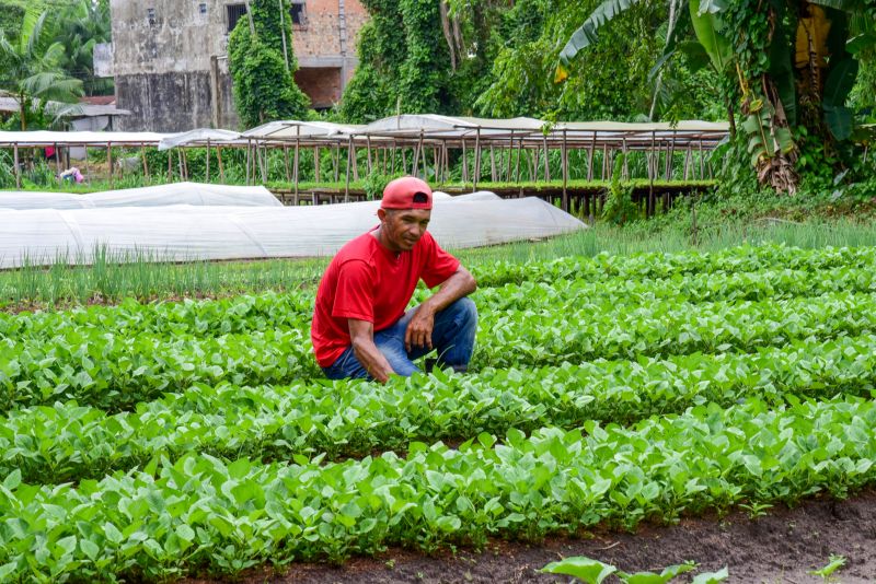 Imagens de Apoio de Agricultores e do secretario Pedro Soares