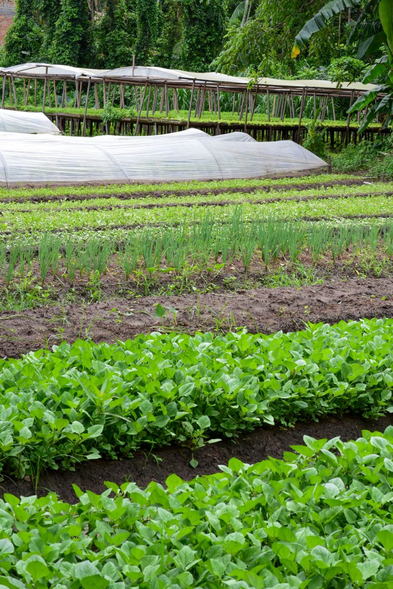 Imagens de Apoio de Agricultores e do secretario Pedro Soares