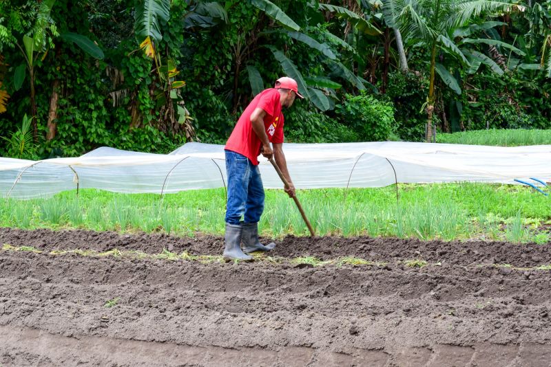 Imagens de Apoio de Agricultores e do secretario Pedro Soares