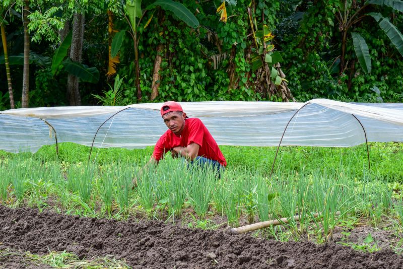 Imagens de Apoio de Agricultores e do secretario Pedro Soares