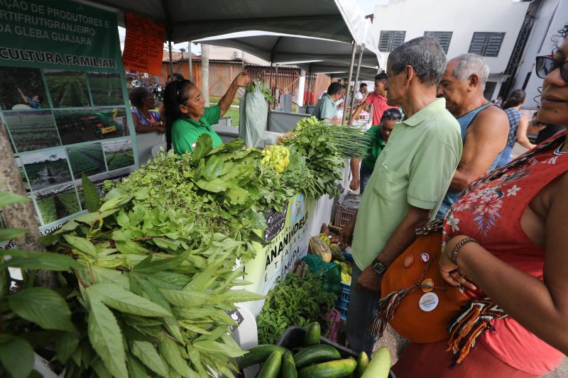 Primeira feira de Agricultura Familiar de Ananindeua na Praça Matriz