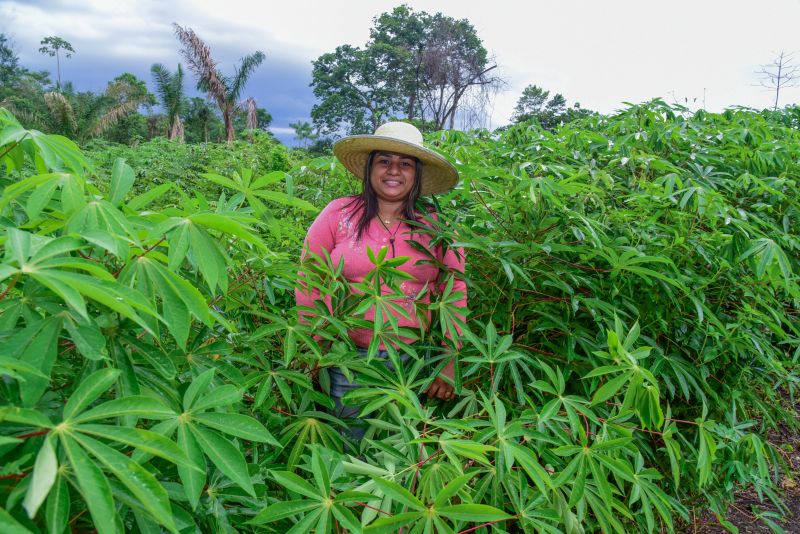 Imagens de apoio de produtores rurais do Quilombo do Abacatal, no Programa Territórios Sustentáveis em Ananindeua