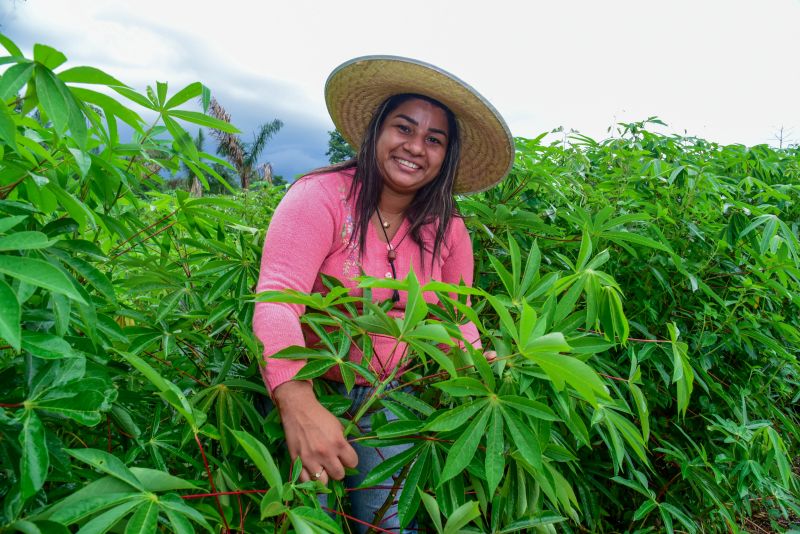 Imagens de apoio de produtores rurais do Quilombo do Abacatal, no Programa Territórios Sustentáveis em Ananindeua