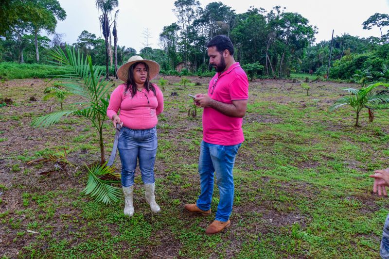 Imagens de apoio de produtores rurais do Quilombo do Abacatal, no Programa Territórios Sustentáveis em Ananindeua