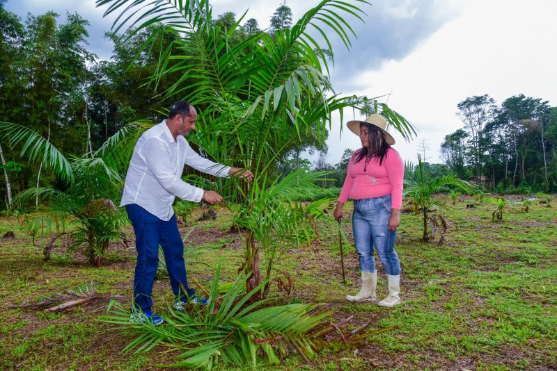 Imagens de apoio de produtores rurais do Quilombo do Abacatal, no Programa Territórios Sustentáveis em Ananindeua