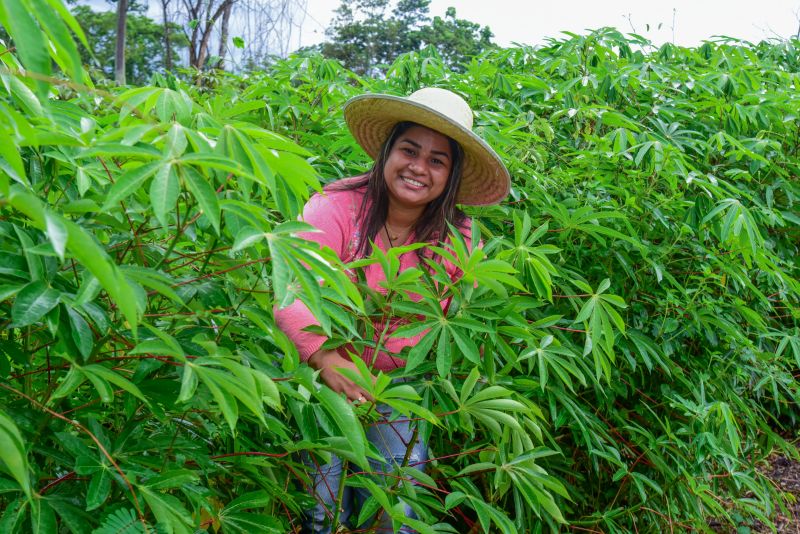 Imagens de apoio de produtores rurais do Quilombo do Abacatal, no Programa Territórios Sustentáveis em Ananindeua