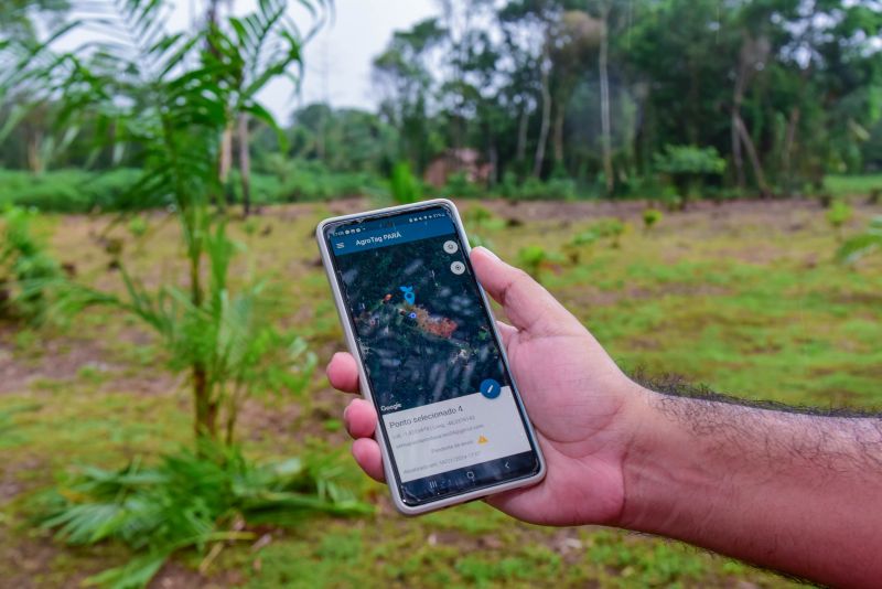 Imagens de apoio de produtores rurais do Quilombo do Abacatal, no Programa Territórios Sustentáveis em Ananindeua