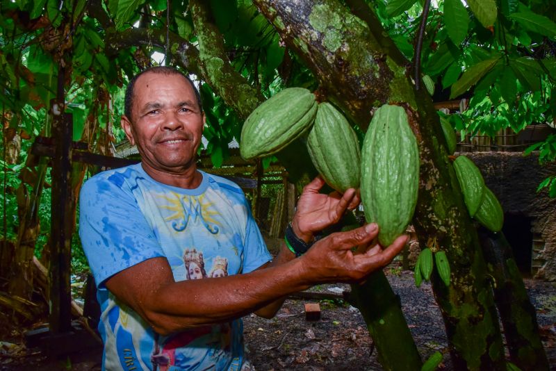 Imagens de apoio de produtores rurais do Quilombo do Abacatal, no Programa Territórios Sustentáveis em Ananindeua