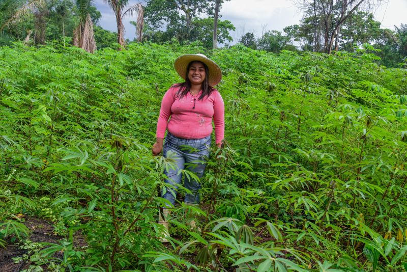 Imagens de apoio de produtores rurais do Quilombo do Abacatal, no Programa Territórios Sustentáveis em Ananindeua