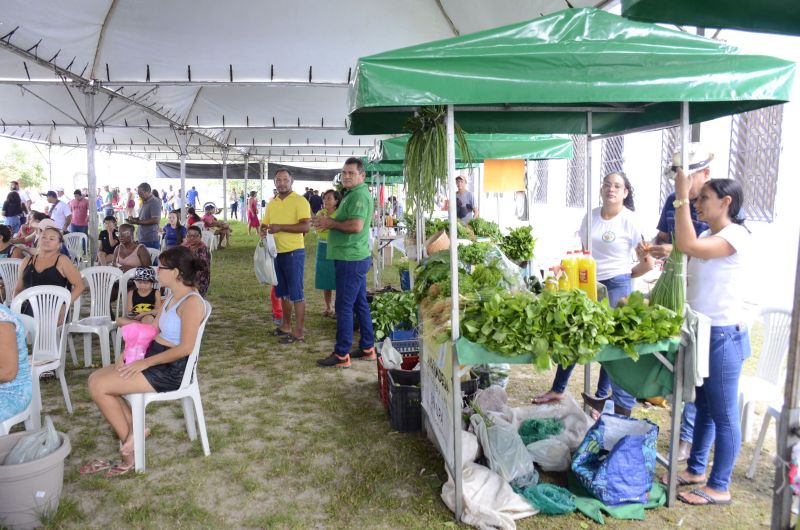 4ª Edição da Feira da Agricultura Familiar e Povos Tradicionais de Ananindeua no Aura