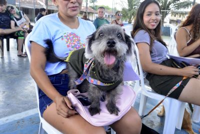Galeria: Castramóvel no loteamento Parque Anne