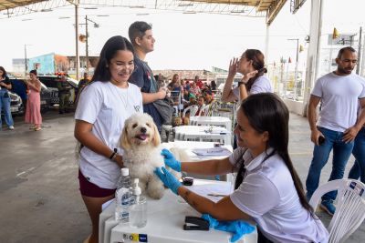 Galeria: Festival Pet no estacionamento do supermercado Colina