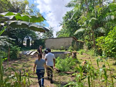 Segunda unidade do Sisteminha avança no Curuçambá e fortalece a participação da juventude na agricultura familiar
