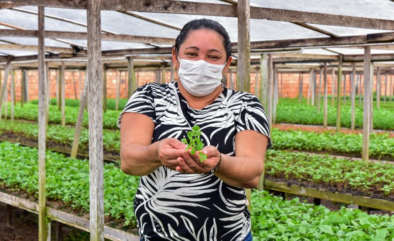 Agricultor no bairro do Curuçambá