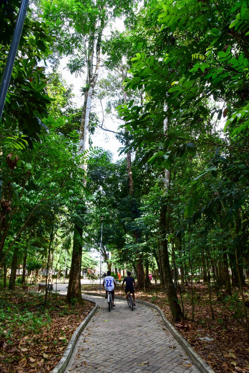 Bosque Marajoara no conjunto Júlia Seffer