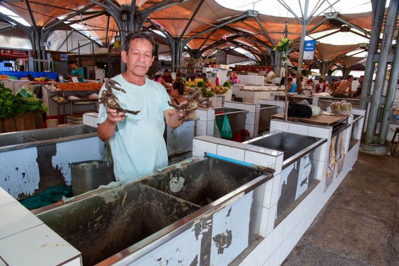 Feira da Cidade Nova IV