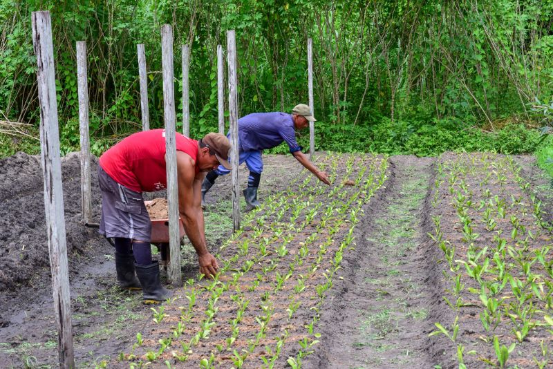 Imagens de Apoio de Agricultores e do secretario Pedro Soares