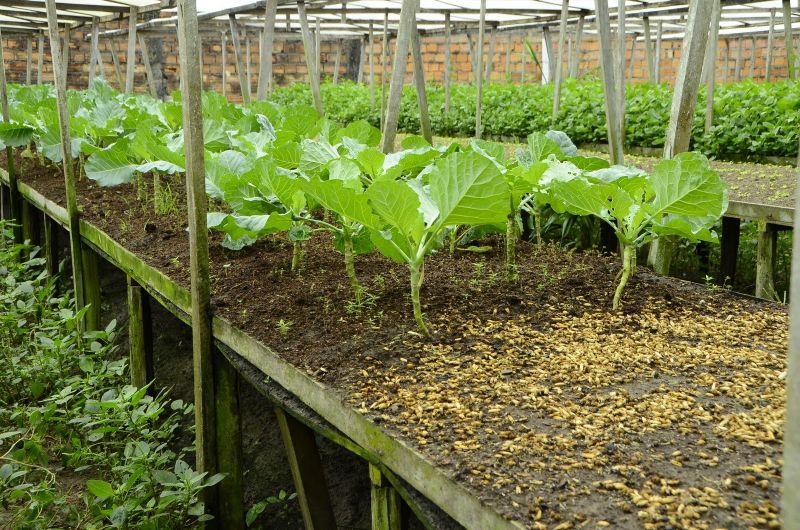 Produção Rural