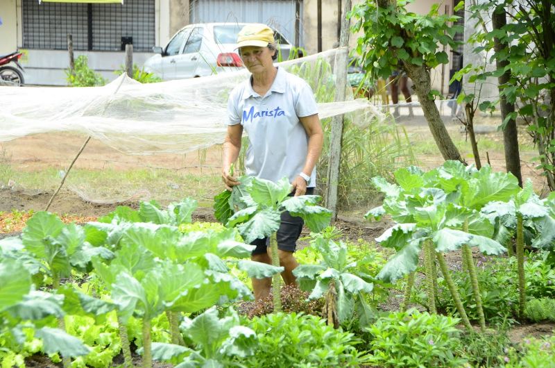 Produção Rural