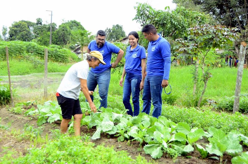 Produção Rural