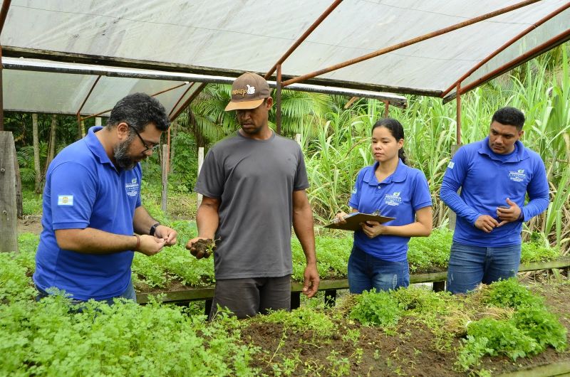 Produção Rural