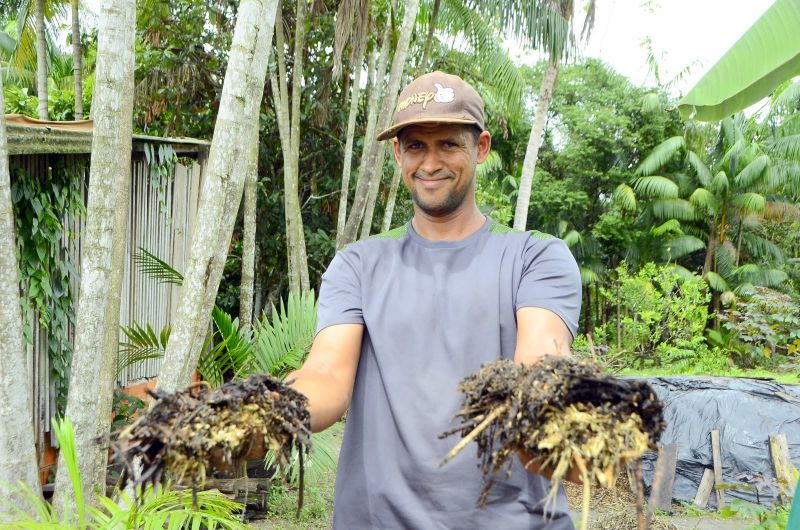 Produção Rural