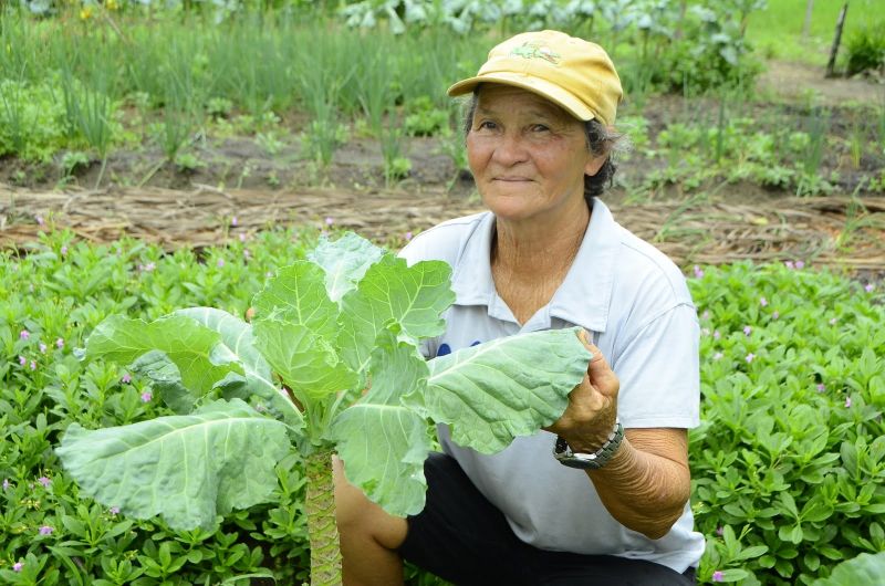 Produção Rural