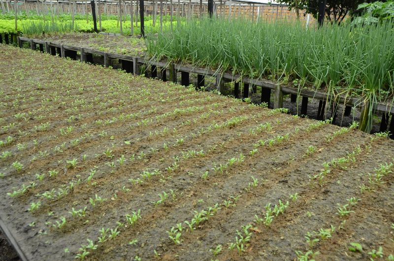 Produção Rural