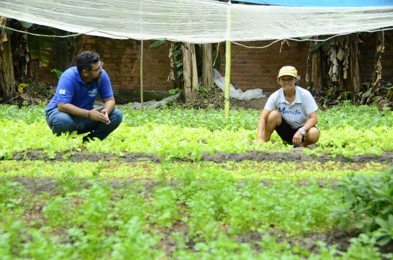 Produção Rural