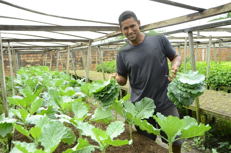 Produção Rural