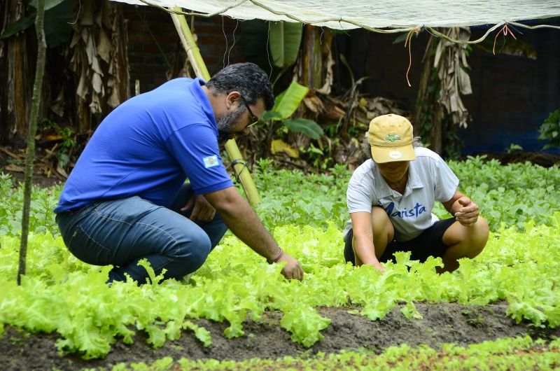 Produção Rural