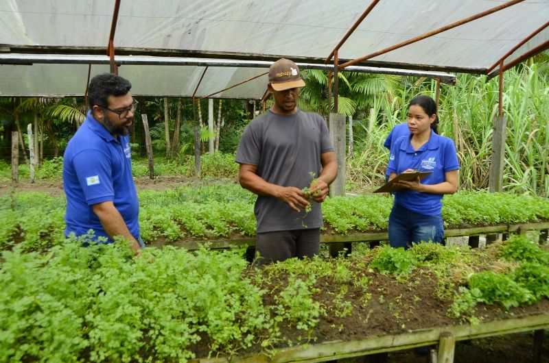 Produção Rural