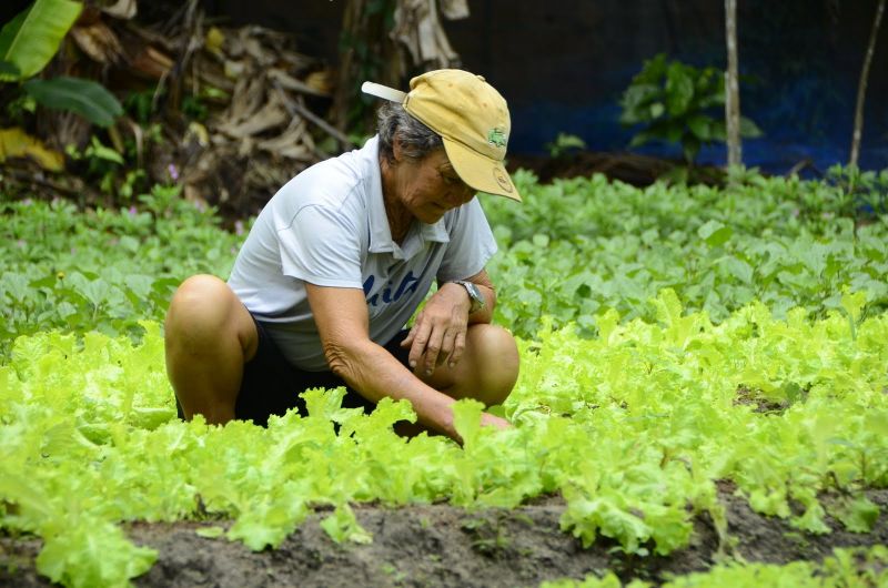 Produção Rural