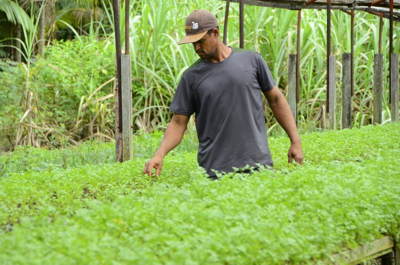 Produção Rural