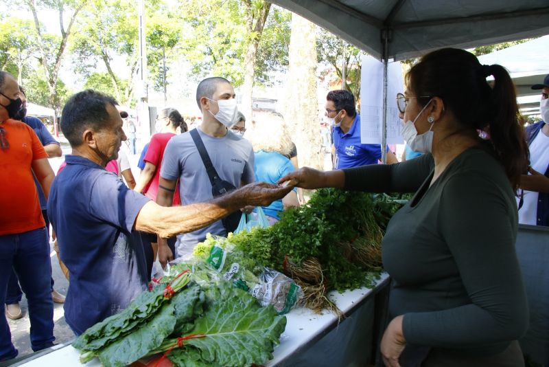 Visita a Feira do Agricultor Familiar na Praça da Cidade Nova VIII