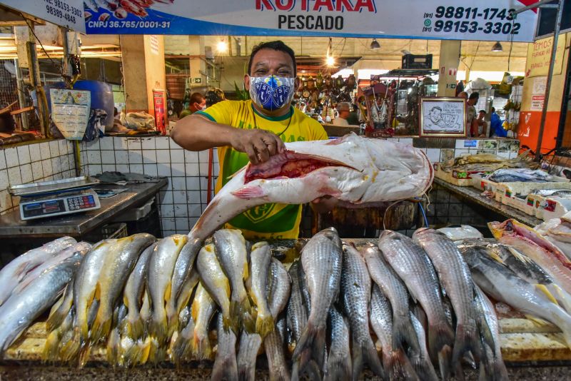 Imagens de Apoio de Feirantes do Mercado Central de Ananindeua