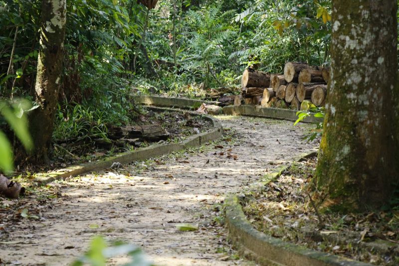 Ato de Assinatura de Ordem de Serviço para Revitalização dos Bosques Marajoara e Uirapurú no conjunto Julia Seffer