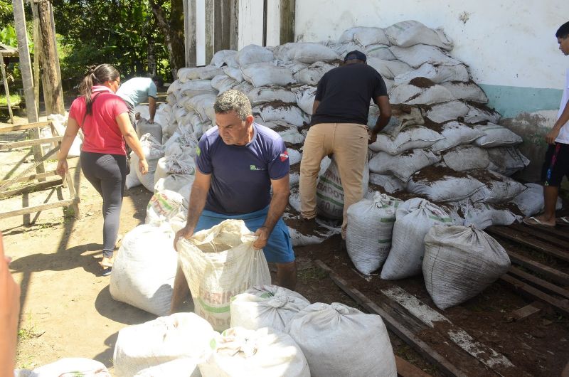 Entrega de 20 Mil Mudas Frutíferas de Açaí, Cacau e Cupuaçu e 100 Toneladas de Adubo Calcário para Produtores Rurais de Ananindeua