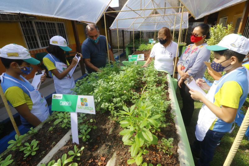 Horta na Escola Machado de Assis no bairro Guanabara