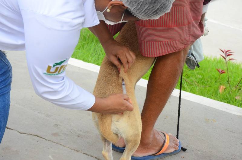 Crédito: Ricardo Amanajás