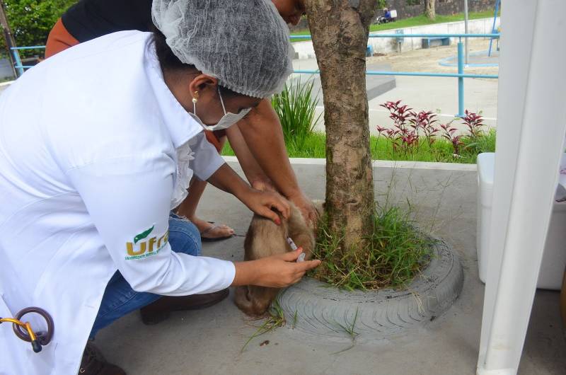 Crédito: Ricardo Amanajás