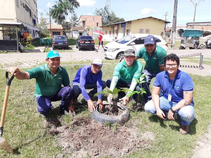 servidores da SEMA plantando as mudas