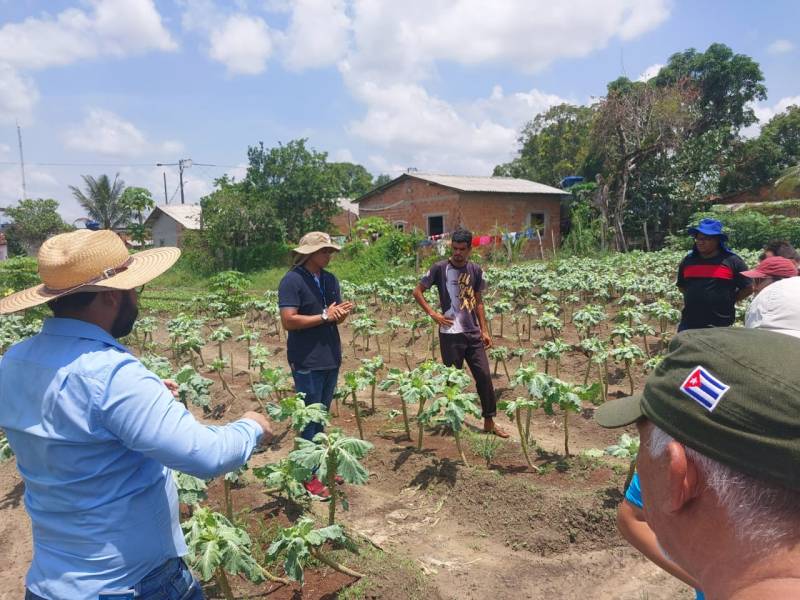 Técnicos agronomos da SEMUPA participando do treinamento TS