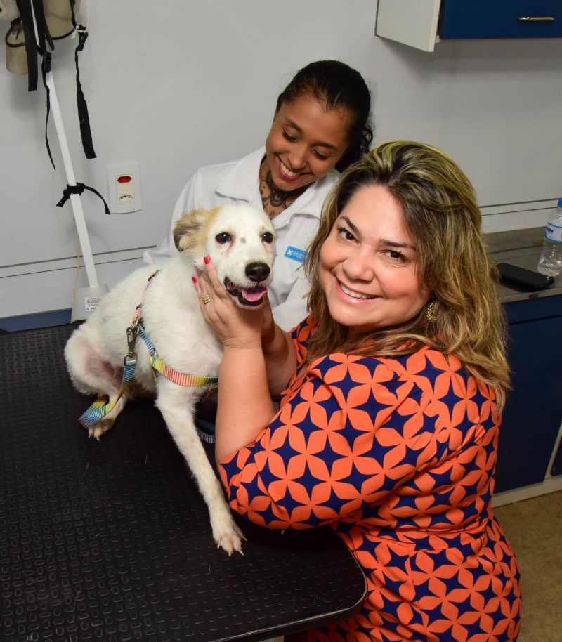 Ação do Castramovél no Programa Pet Amigo no bairro Centro